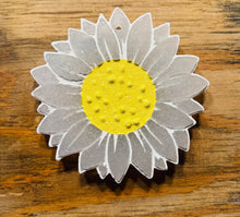 Load image into Gallery viewer, Freshies