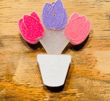 Load image into Gallery viewer, Freshies