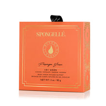 Load image into Gallery viewer, Spongelle Boxed Set