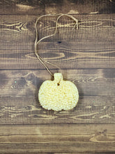 Load image into Gallery viewer, Freshies