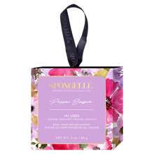 Load image into Gallery viewer, Spongelle Boxed Set