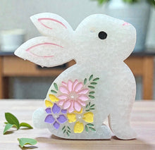 Load image into Gallery viewer, Freshies
