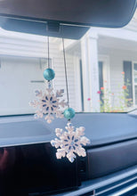 Load image into Gallery viewer, Freshies
